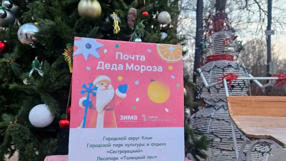 Фото: пресс-служба администрации г.о. Клин