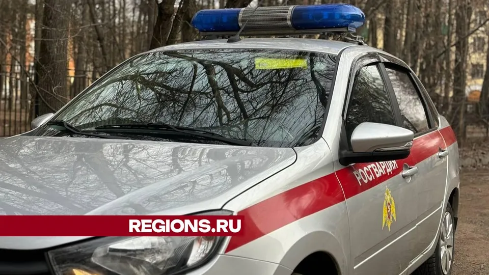 Фото: Светлана Плотникова