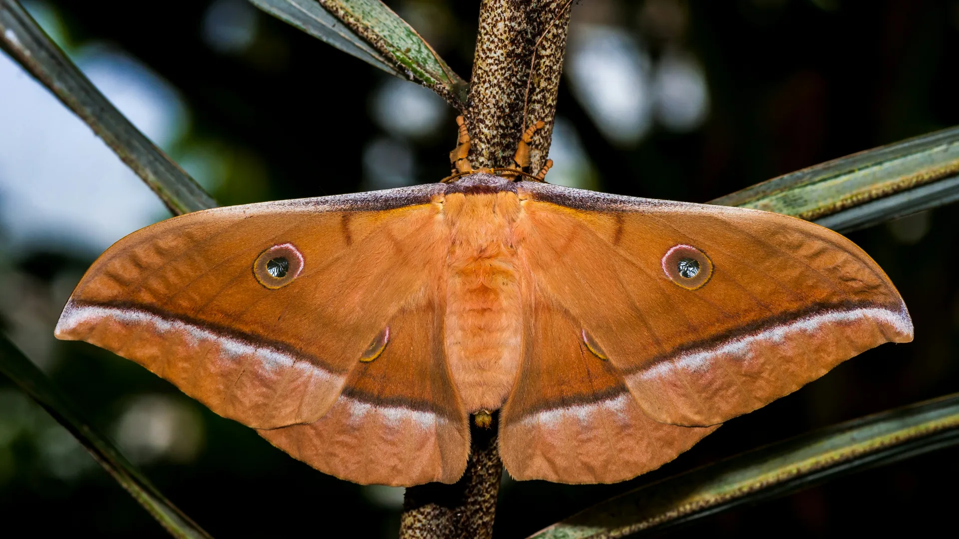 Фото: unsplash.com