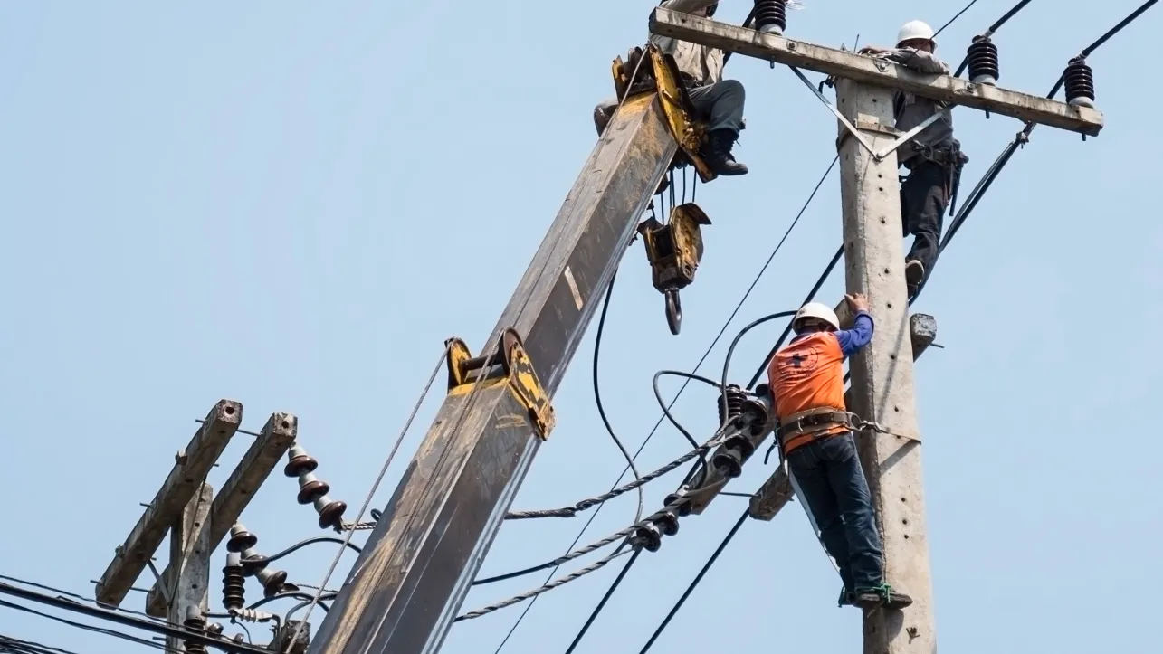 Фото: freepik.com