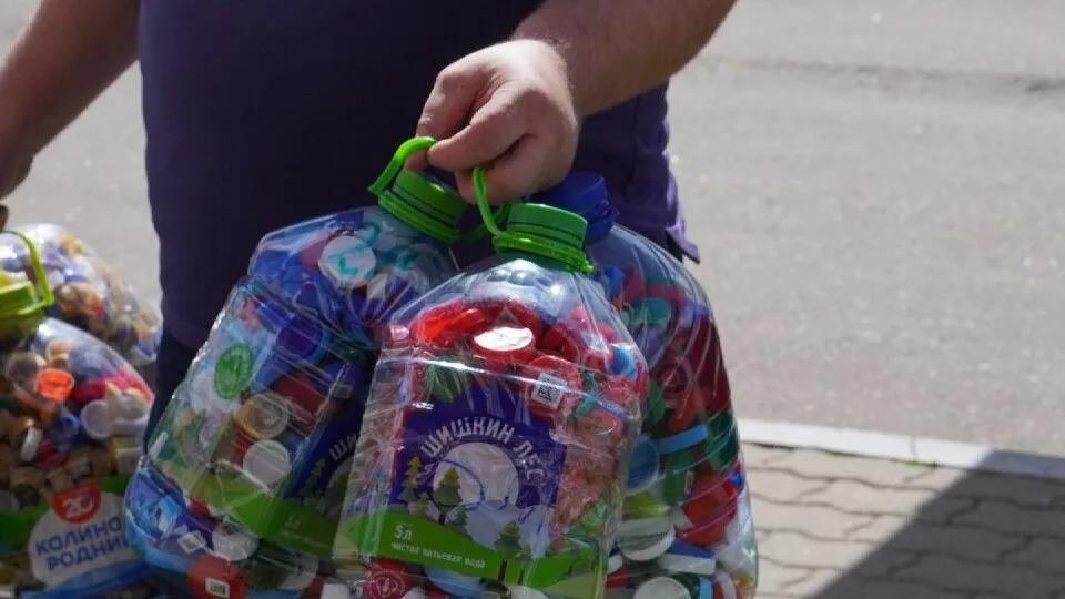 Фото: ЦКР «Вертикаль»