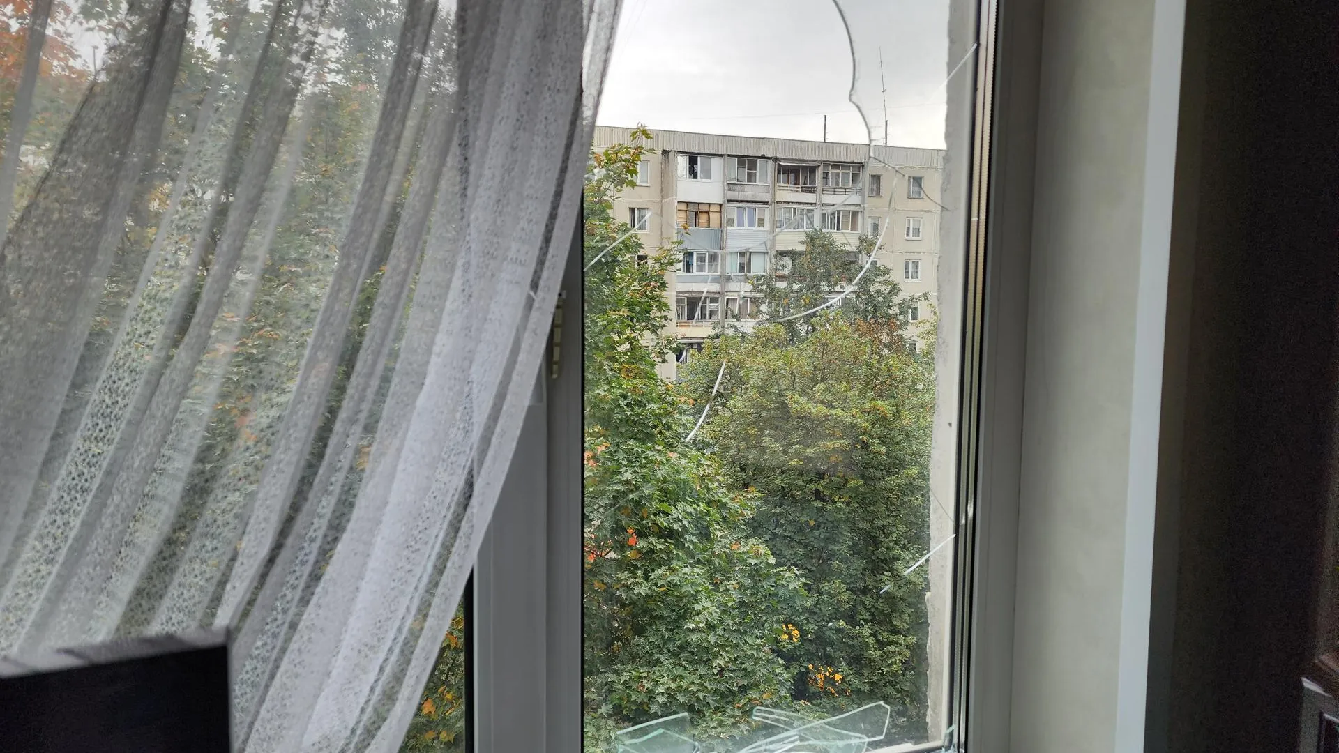 Валерия Тингаева