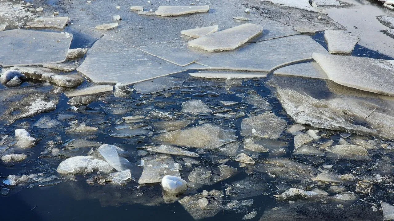 МедиаБанк Подмосковья/Анна Шолохова