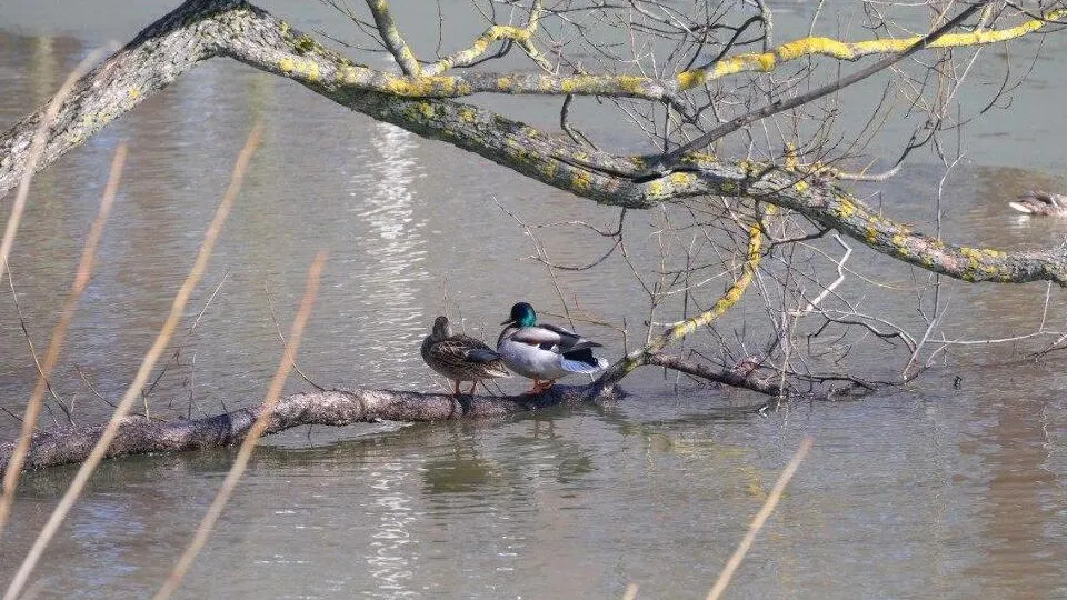 Фото: пресс-служба администрации Сергиево-Посадского г.о.
