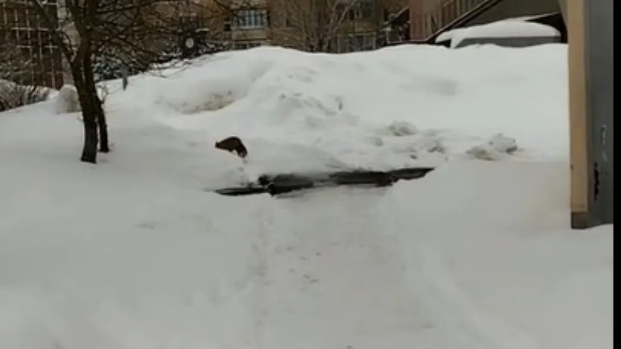 vk.com/ Подслушано Руза. Будь в курсе событий