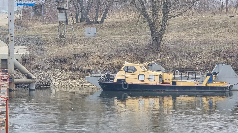 Фото: Медиабанк МО/Марина Анисимова