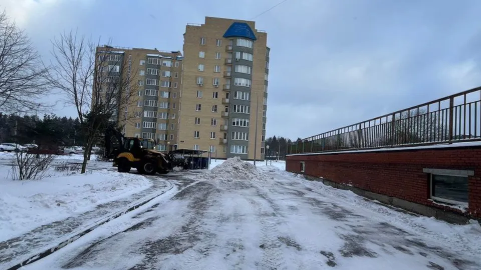 Фото: соцсети