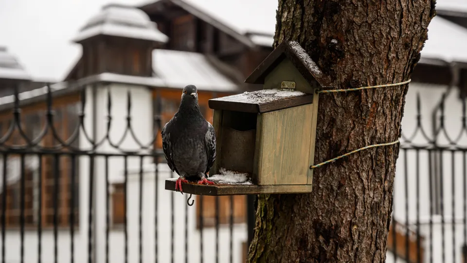 Фото: медиасток.рф