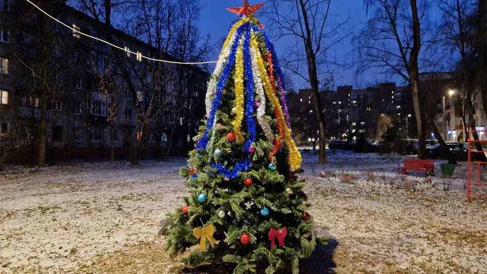 Фото: пресс-служба администрации г.о. Долгопрудный