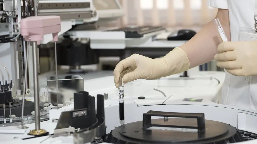 Фото: pxhere.com