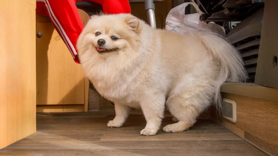 Фото: медиасток.рф