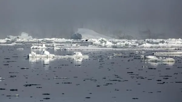 Эксперт: Дания потеряет статус арктической державы, если продаст Гренландию