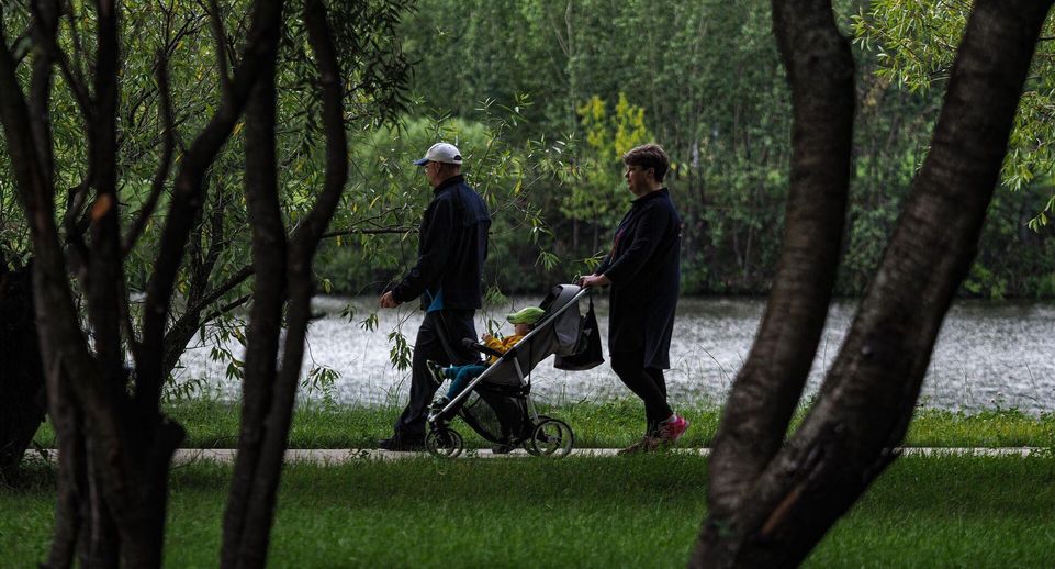 Bloomberg: в России увеличился спрос на нянь из Китая