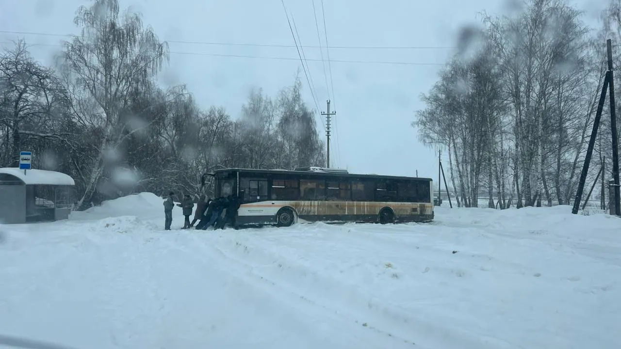 t.me/viktorpetruchenko_chat