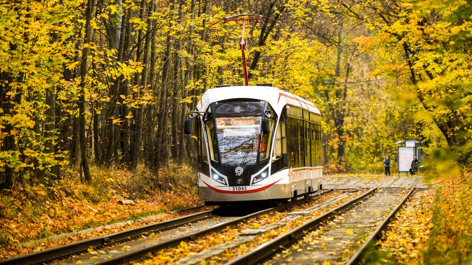 Фото: медиасток.рф