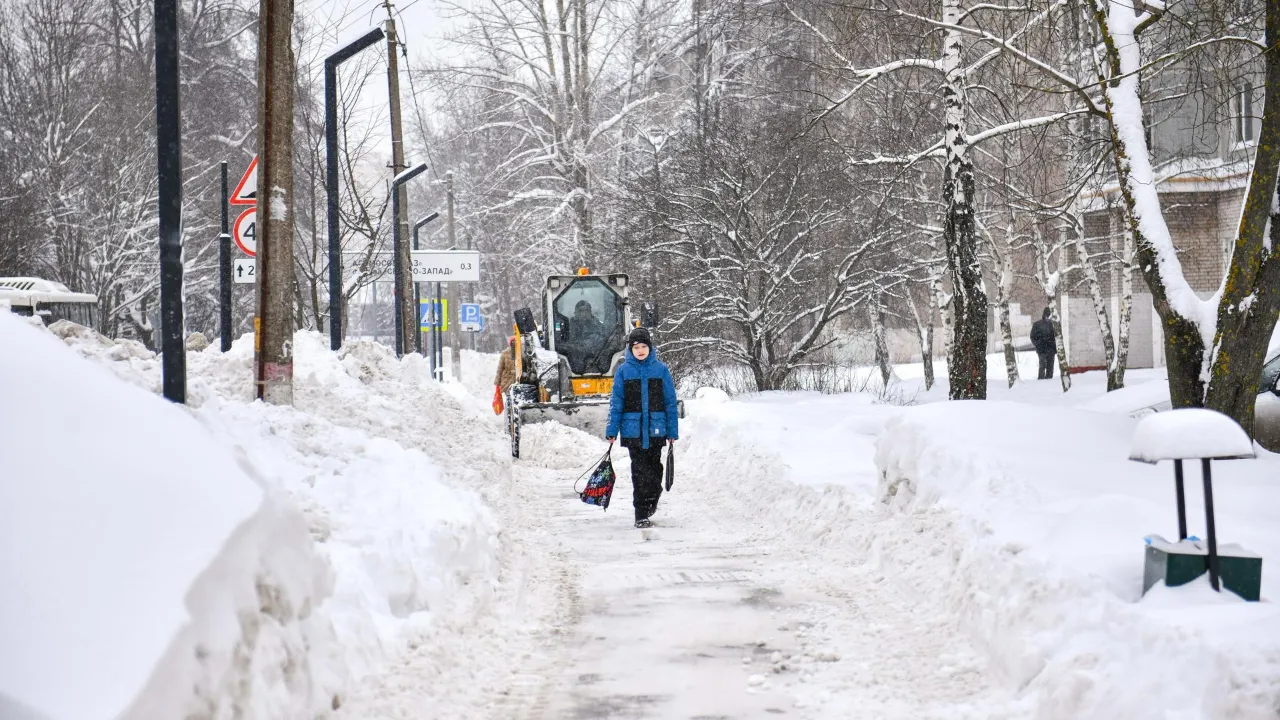 МедиаБанк Подмосковья/Иван Чижов