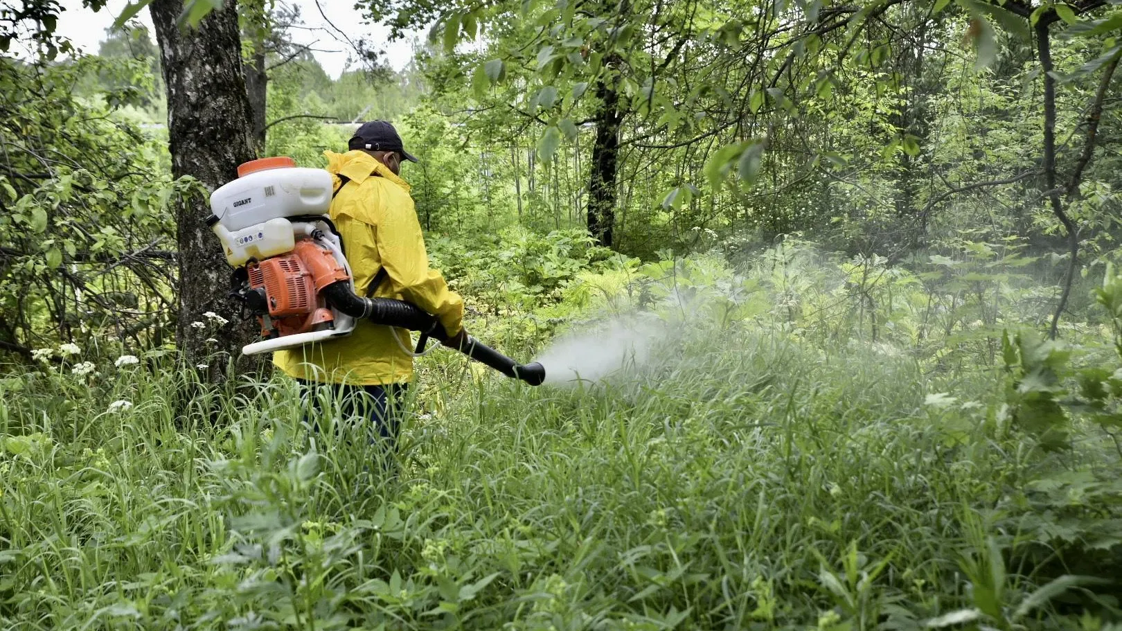Пресс-служба администрации г. о. Солнечногорск