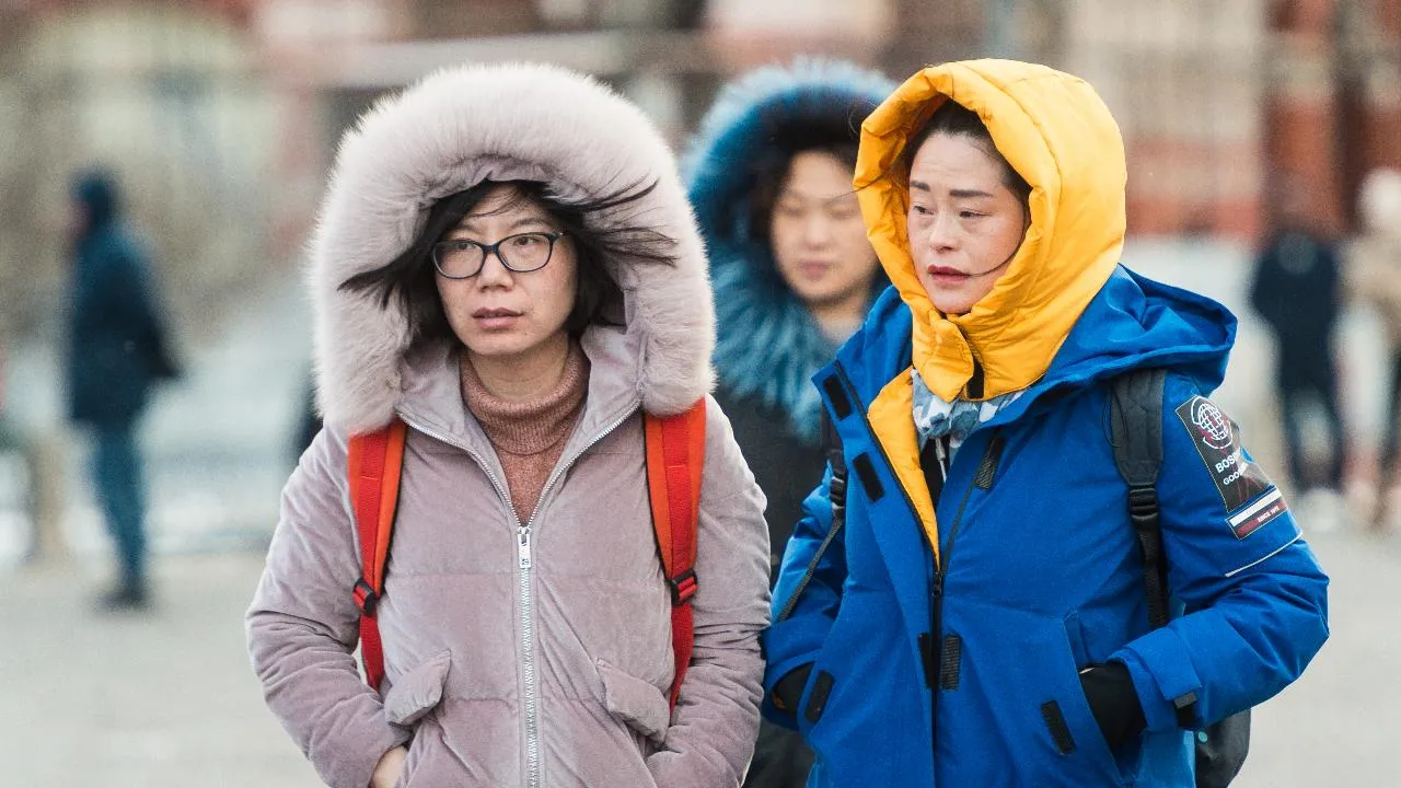 медиасток.рф