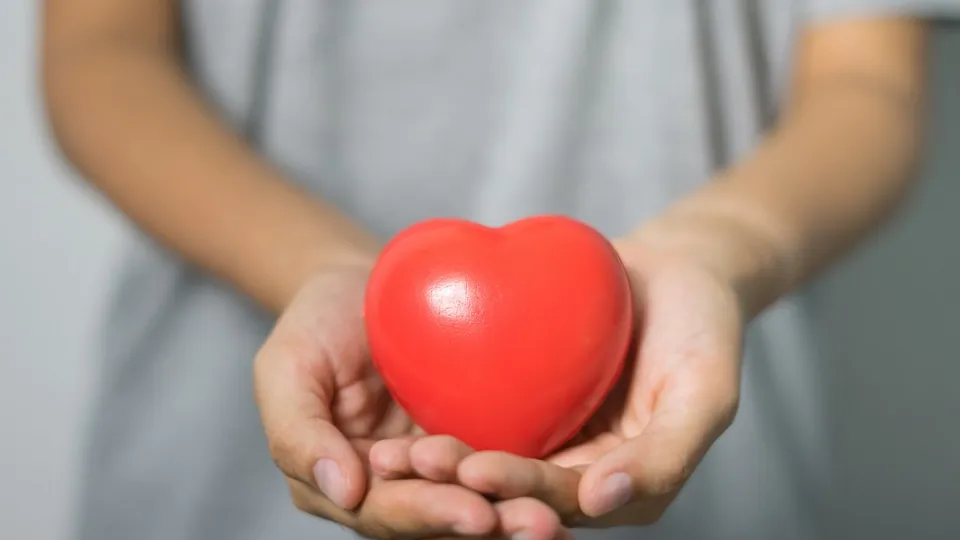 Фото: pxhere.com