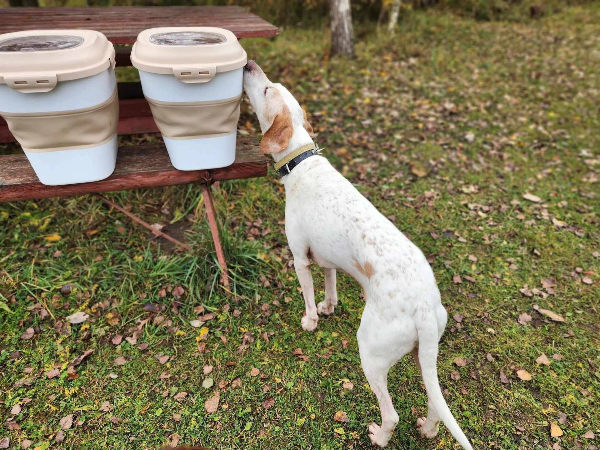 Фото: Елена Шумакова