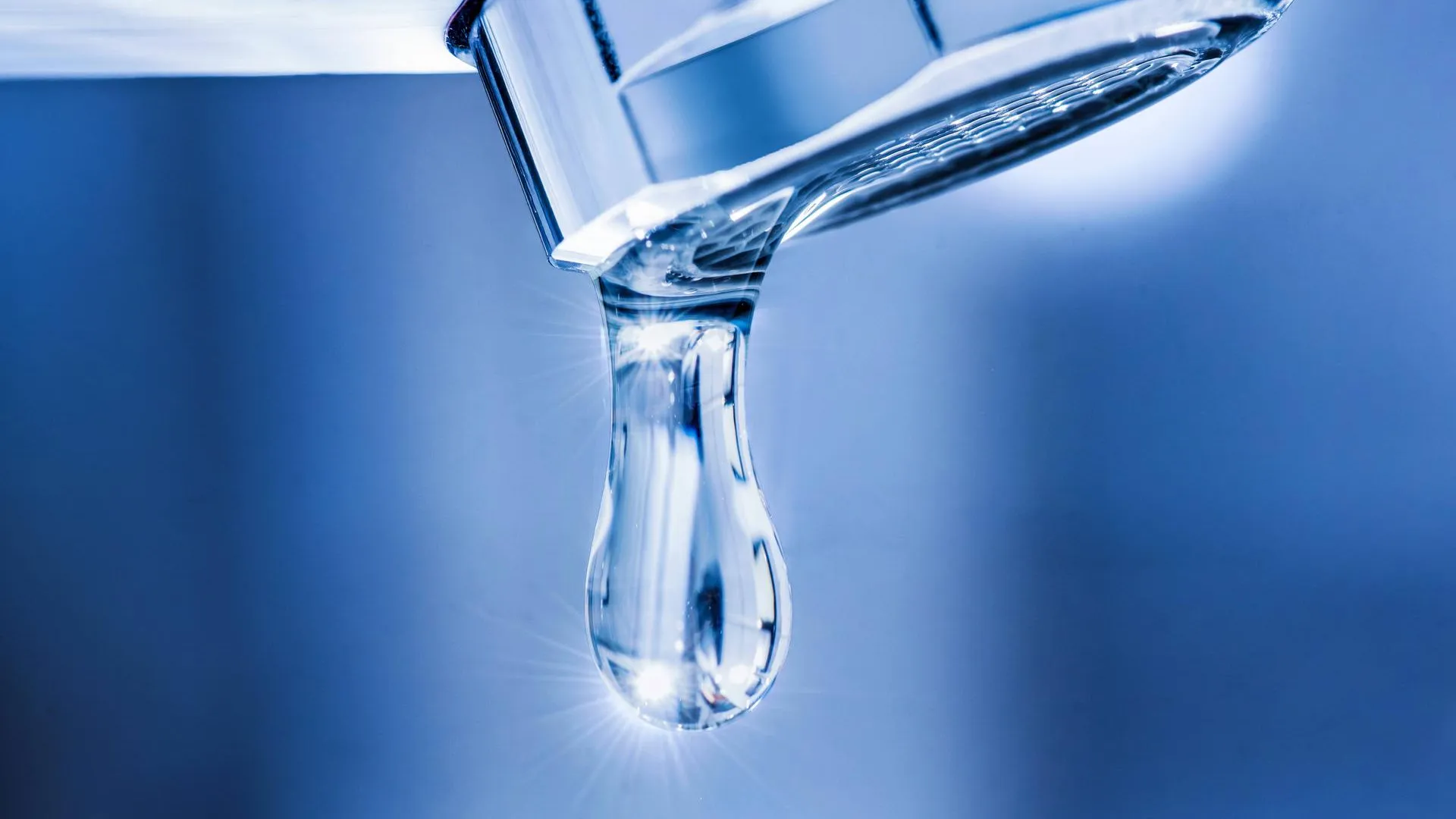 IMAGO/Wolfgang Maria Weber