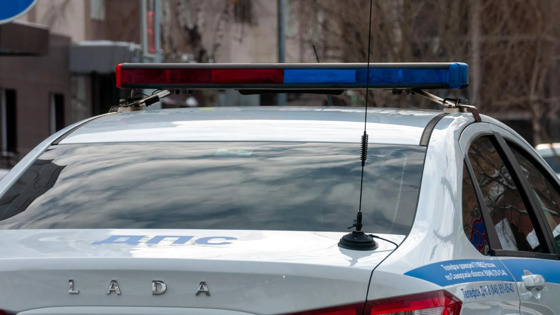 Svetlana Vozmilova/Global Look Press