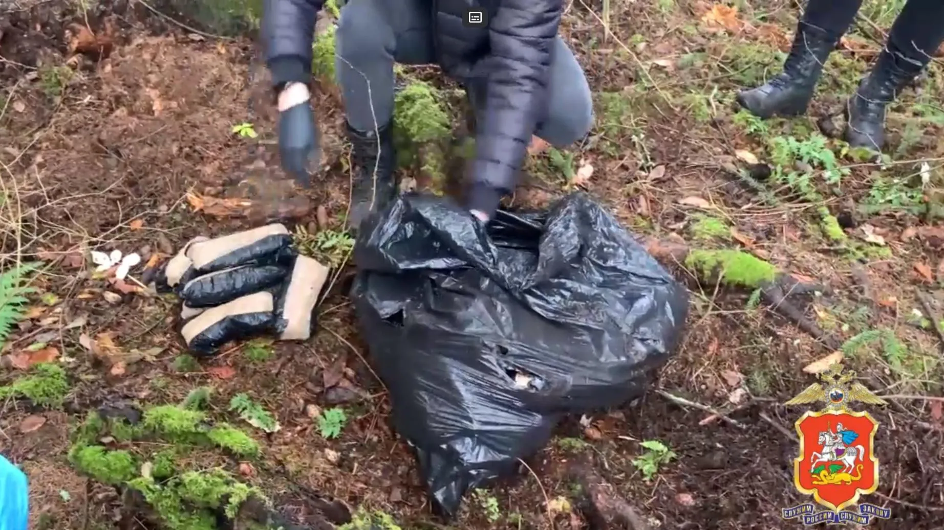 фото: ГУ МВД России по Московской области