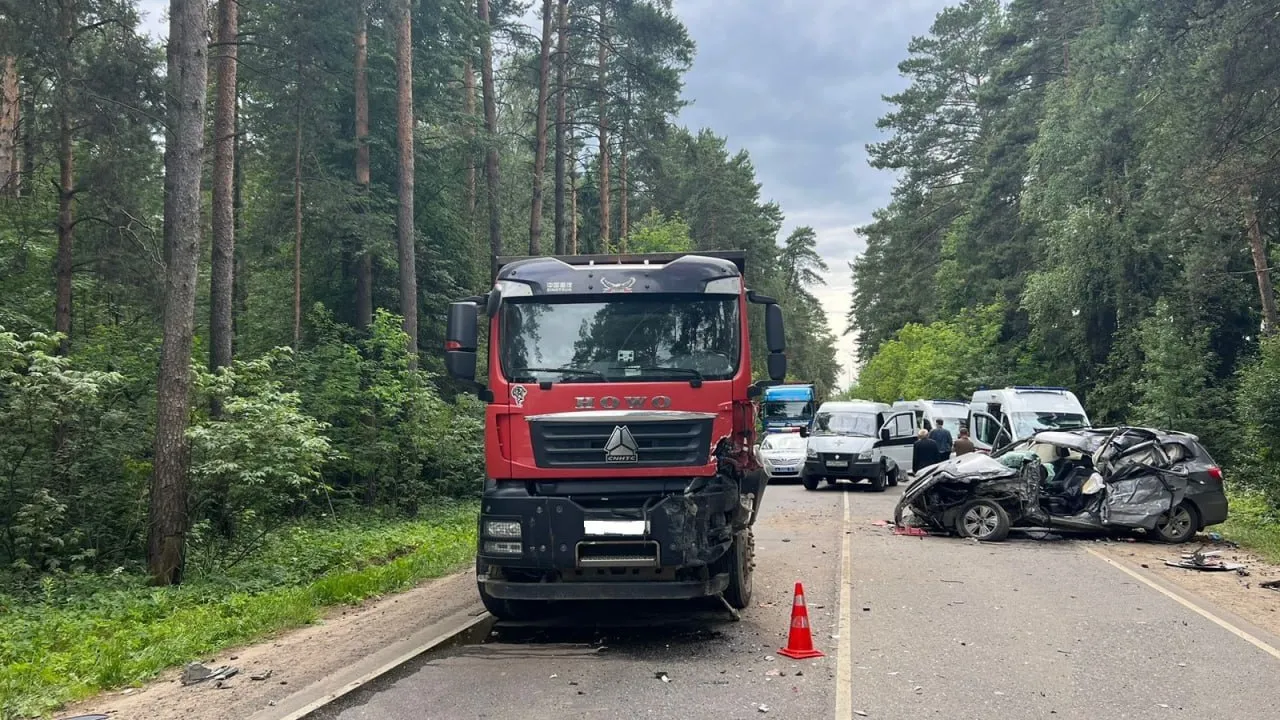 Фото: t.me/gumvd50