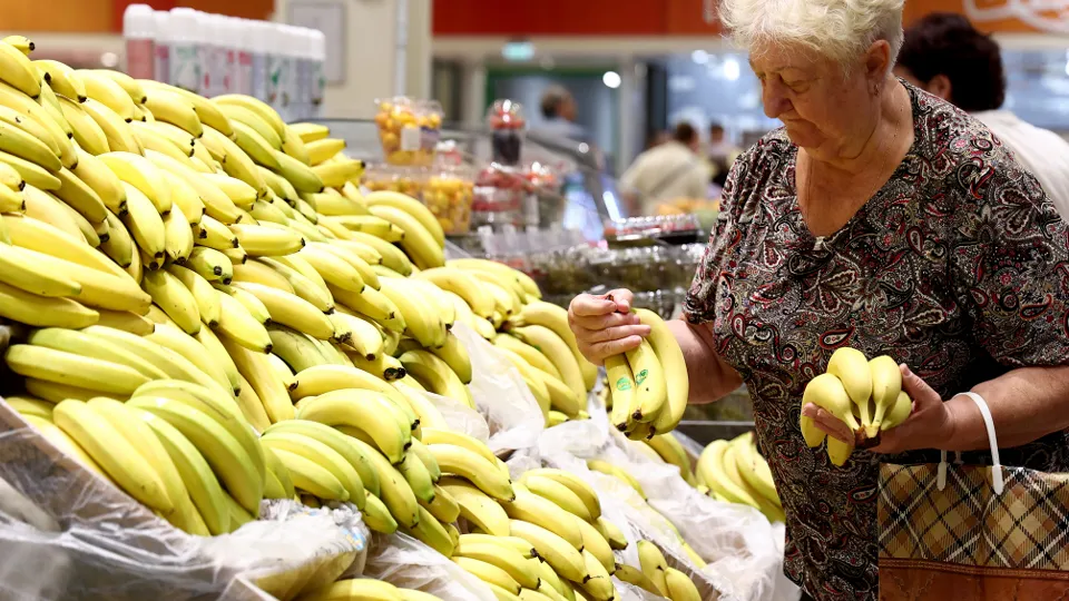 Фото: ТАСС/Сергей Булкин