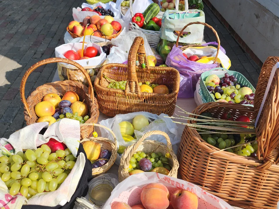 Фото: МедиаБанк Подмосковья/Светлана Борщева