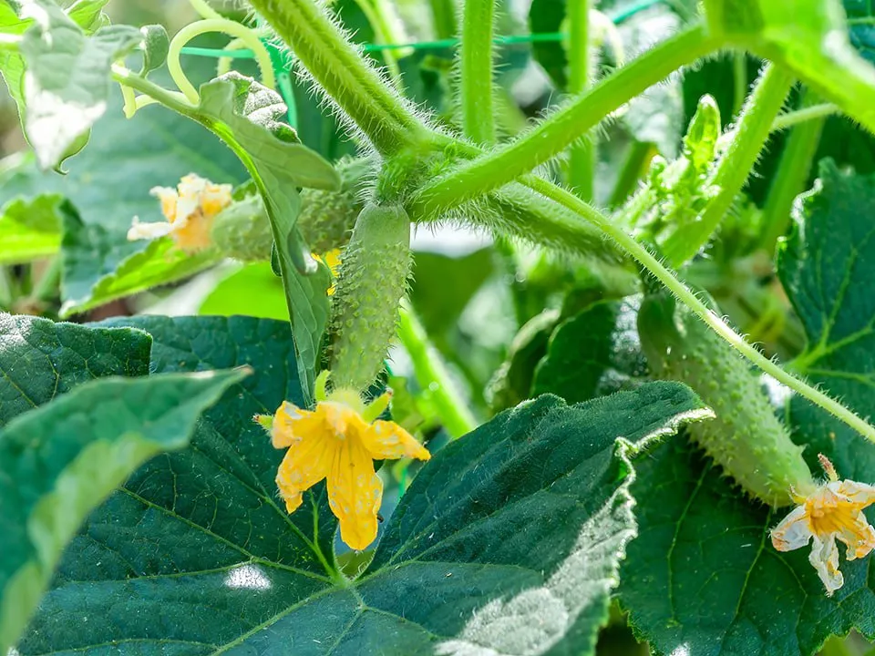 Фото: istockphoto.com