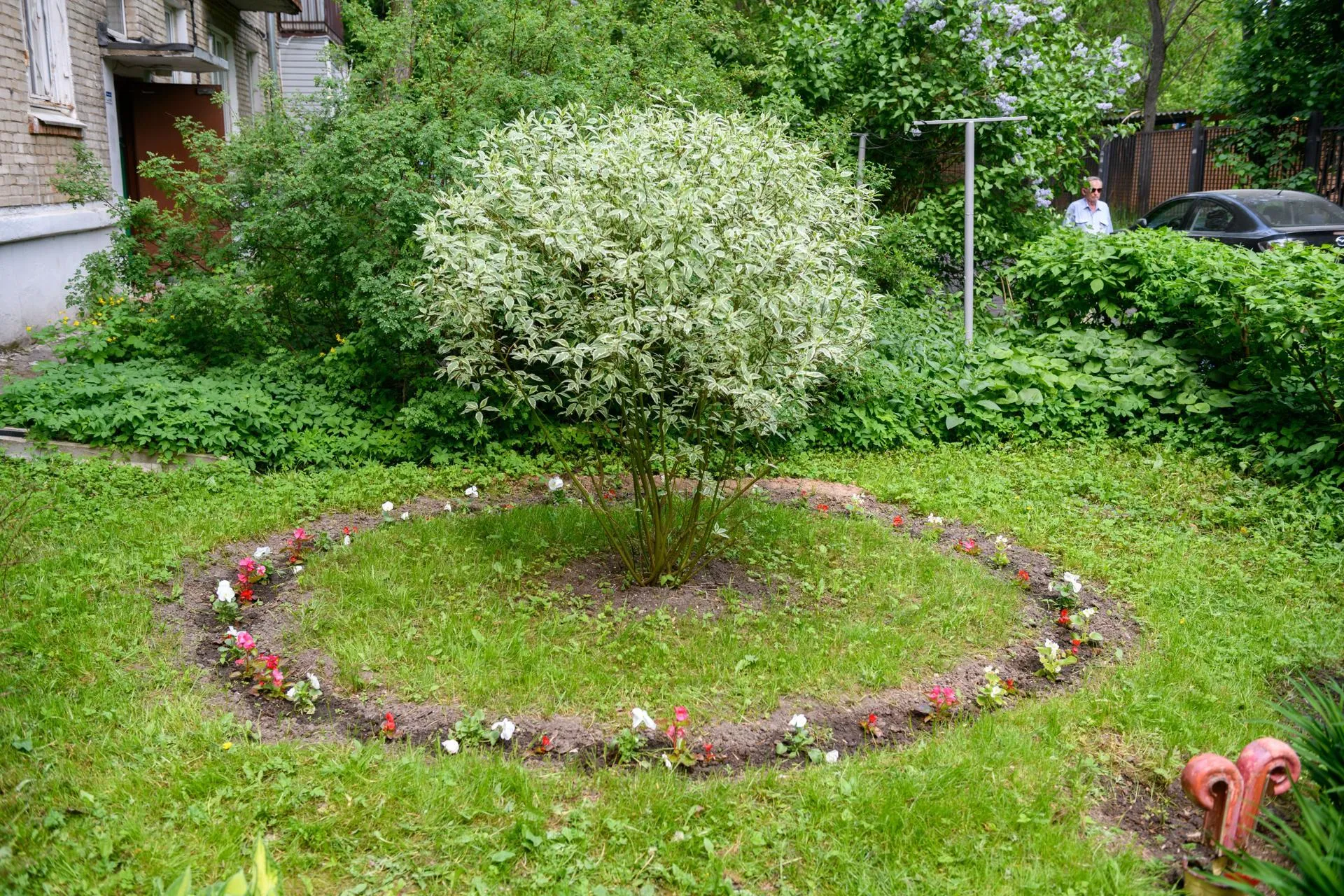 Картинка