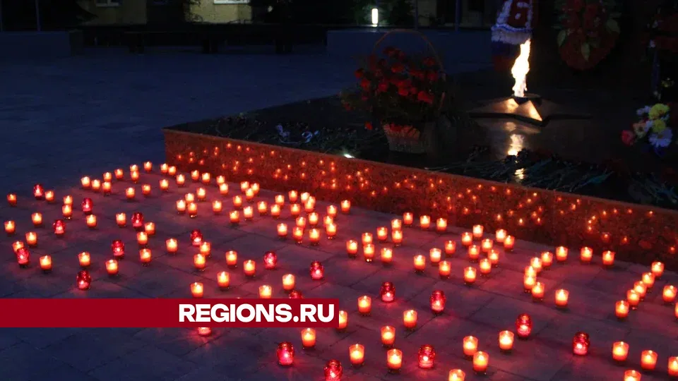 Фото: REGIONS/Василий Тремасов