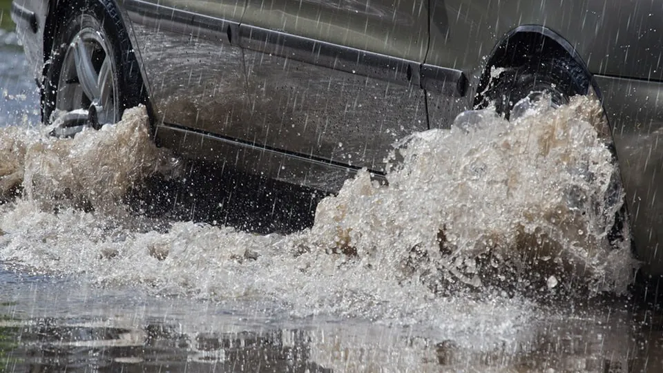 Фото: istockphoto.com