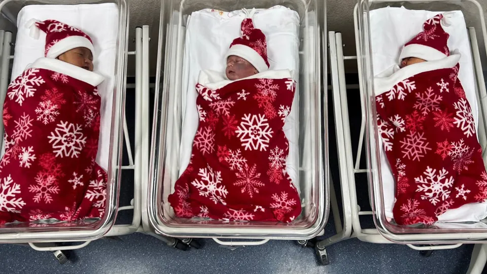 Фото: пресс-служба Московского областного перинатального центра