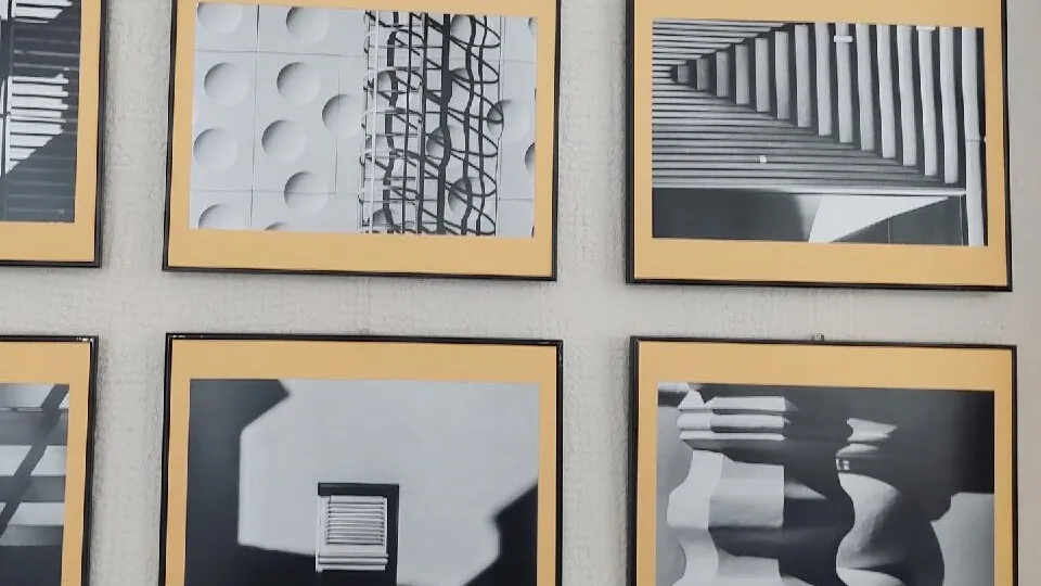 Фото: ЦКР «Вертикаль»