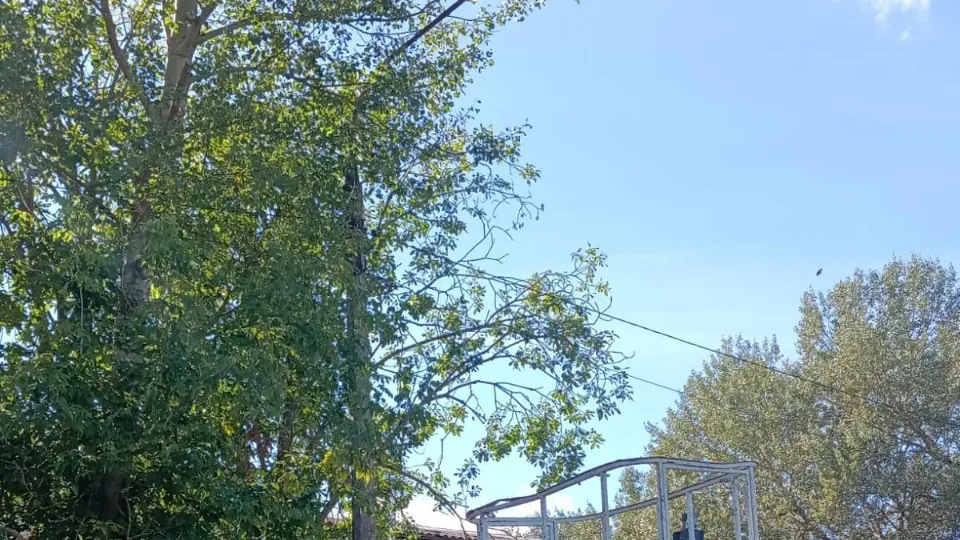 Фото: администрация м.о. Лотошино