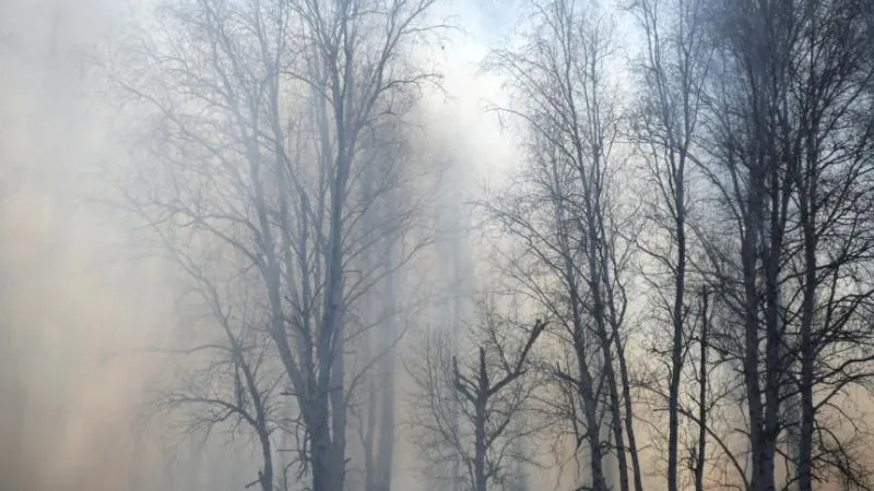 В Забайкалье не будут возмещать ущерб из-за пожаров