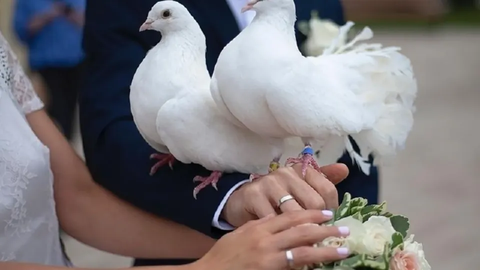 Фото: istockphoto.com