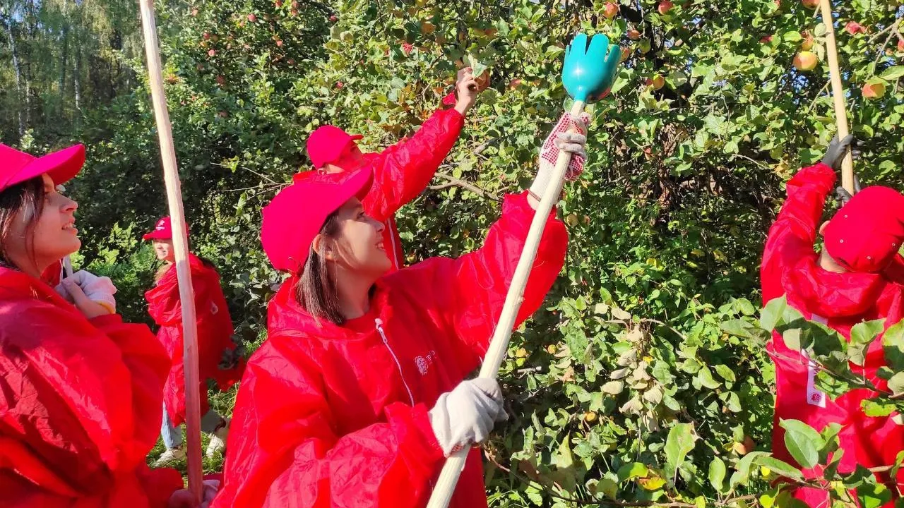 Пресс-служба Минсельхозпрод МО