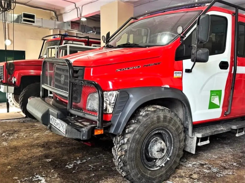 Фото: Комитет лесного хозяйства Московской области