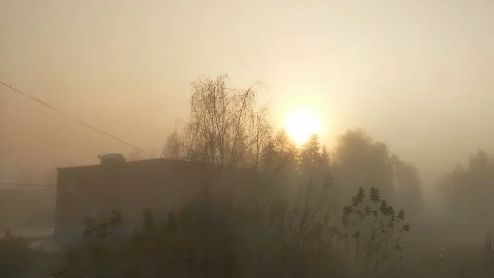 Фото: REGIONS/Полина Куркина