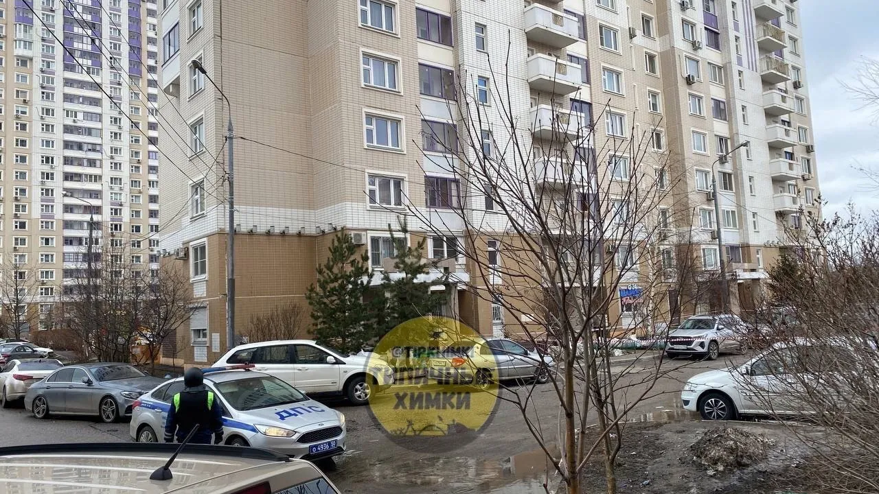 Фото: Telegram-канал «Типичные Химки»