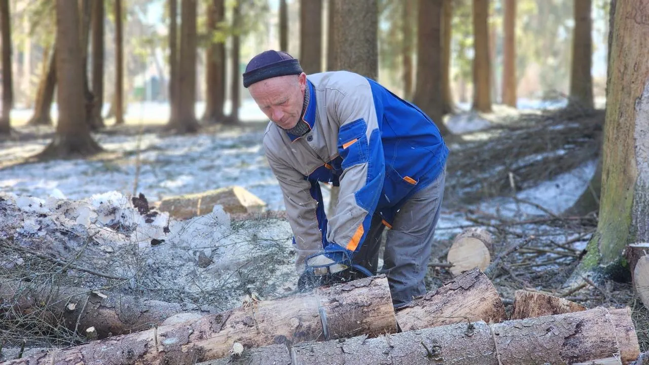 МедиаБанк Подмосковья/Дмитрий Беденко