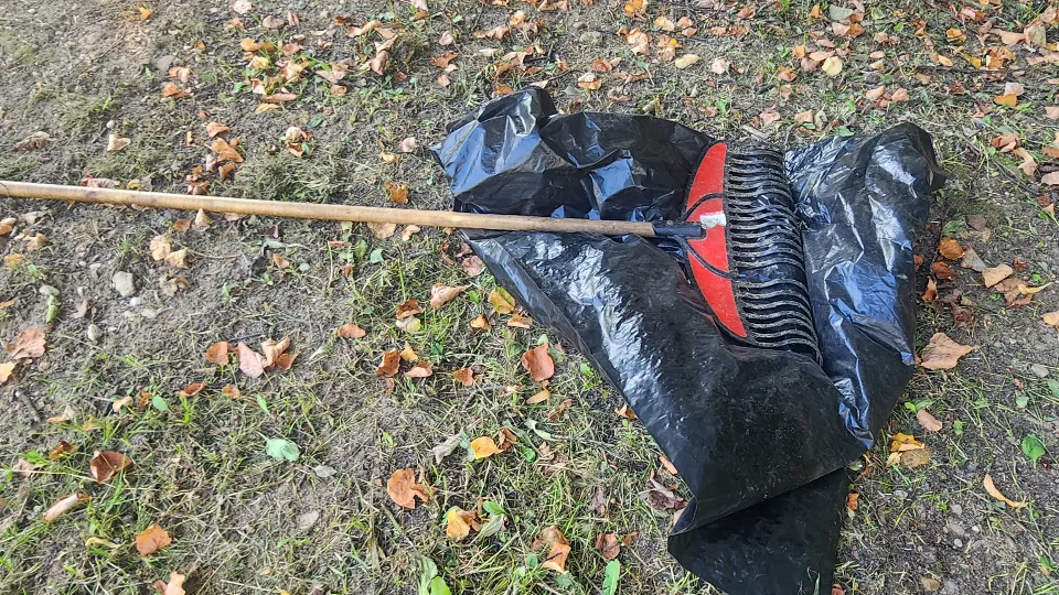 Фото: МедиаБанк Подмосковья/Екатерина Морозова