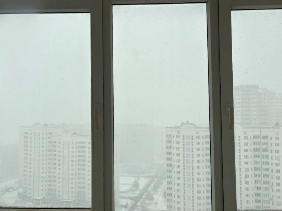 Фото: Василиса Астахова