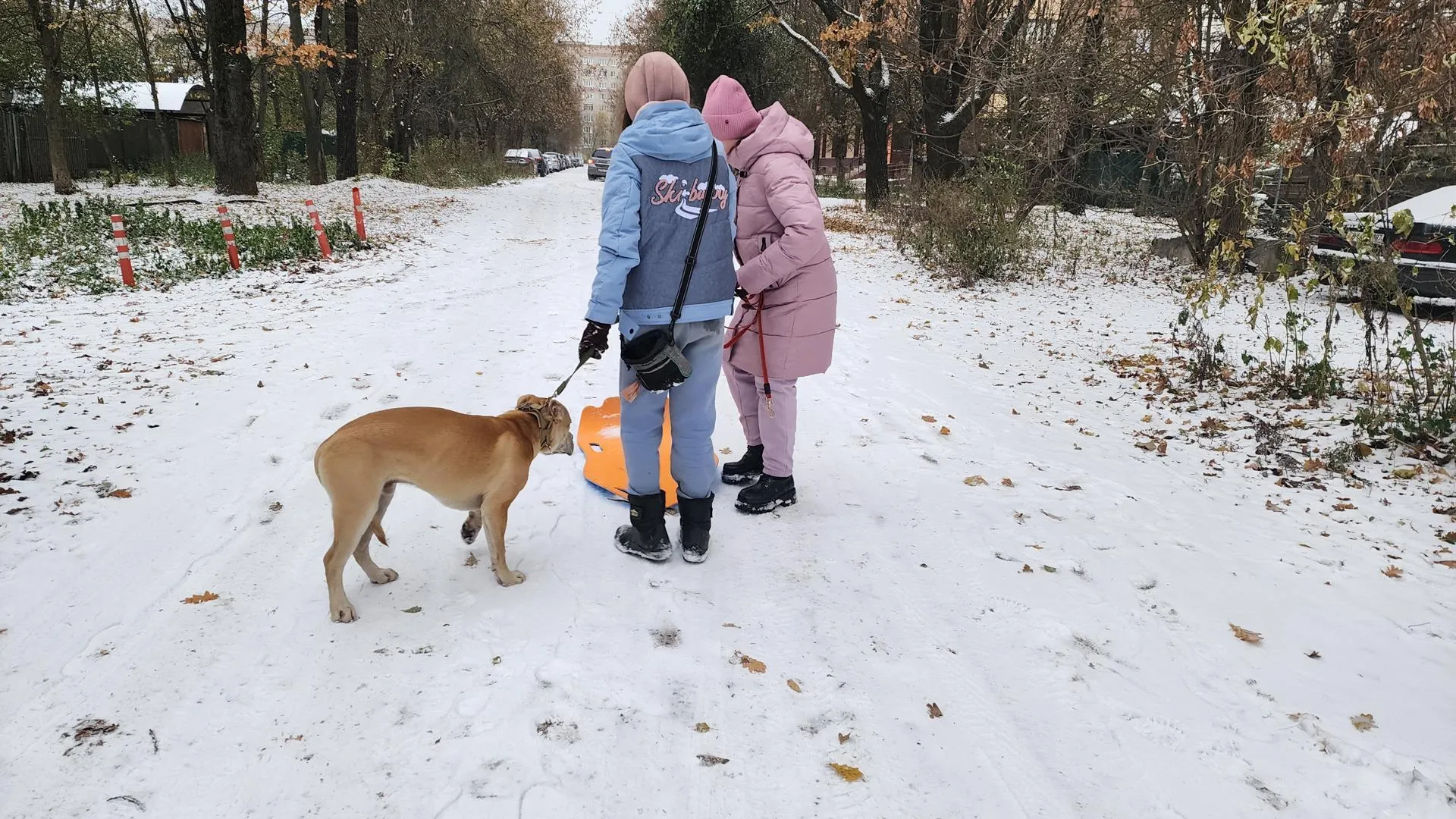 Фото: Ольга Егиян