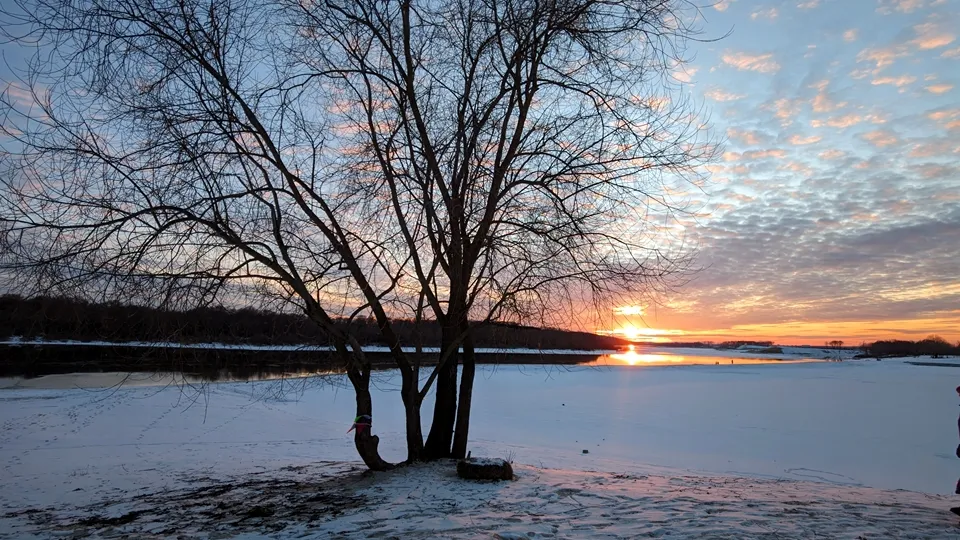 Фото: REGIONS/Алексей Селиверстов