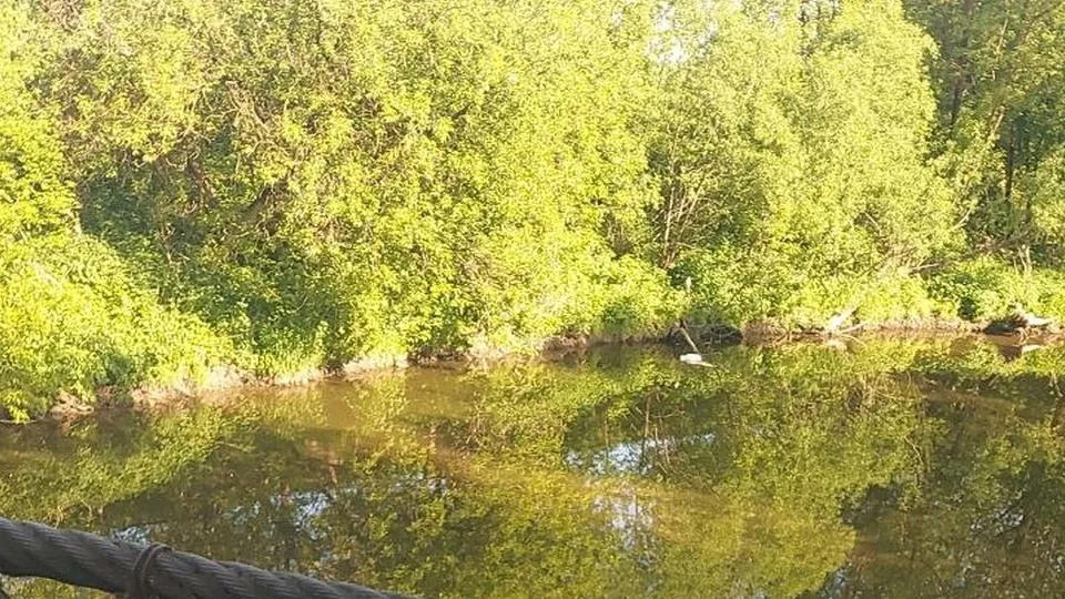 Фото: МУП «Водоканал»