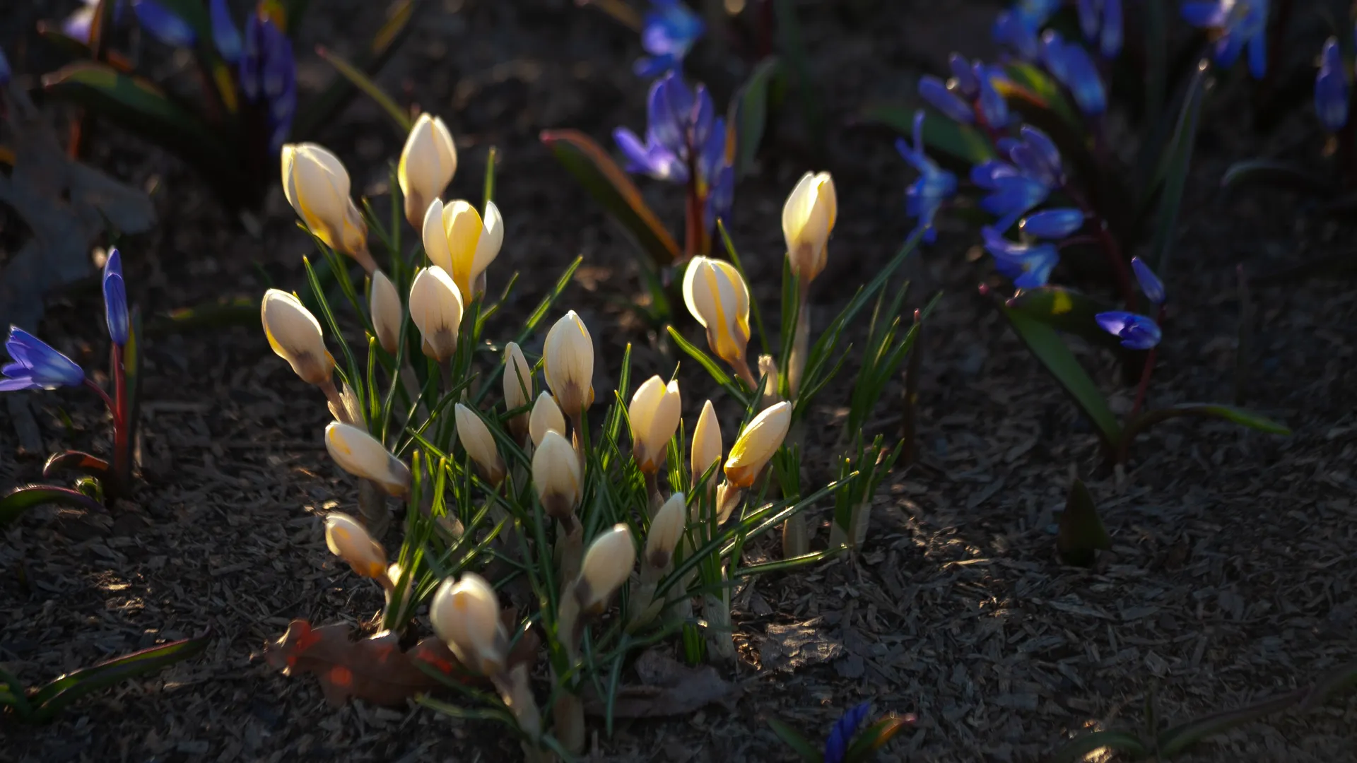 медиасток.рф